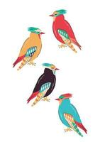 colored birds set vector