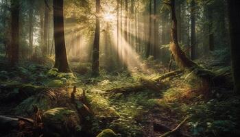 Tranquil scene of wet forest with yellow leaves and ferns generated by AI photo