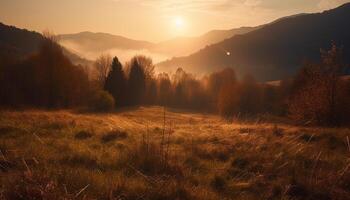 Tranquil scene of mountain meadow at dawn, surrounded by forest generated by AI photo