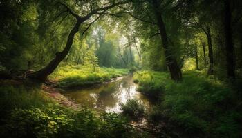 Tranquil scene of autumn forest, wet leaves, and flowing water generated by AI photo