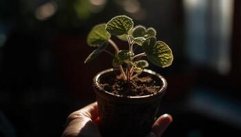 Hand holding fresh seedling, symbolizing growth and new life generated by AI photo