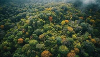 Vibrant autumn meadow, multi colored leaves, tranquil forest, aerial view generated by AI photo