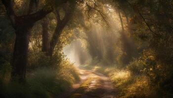 Tranquil forest path, autumn leaves, fog, mystery in the air generated by AI photo