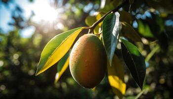 Fresco verde hojas y maduro Fruta en un sano árbol generado por ai foto