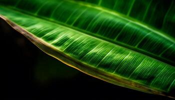 Vibrant leaf vein pattern on dark branch, symbolizing growth generated by AI photo