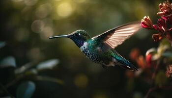 colibrí flotando medio aire, extensión iridiscente alas para polinización generado por ai foto