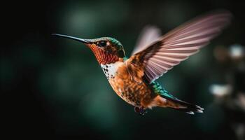 Rufous hummingbird spreads wings, hovering mid air, pollinating vibrant flowers generated by AI photo