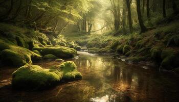 Tranquil scene of a wet forest with flowing water and ferns generated by AI photo