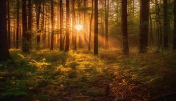 Vibrant colors of autumn leaves on tree in tranquil forest generated by AI photo