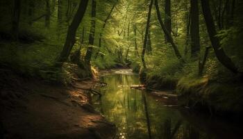 Tranquil scene of flowing water in uncultivated wilderness area generated by AI photo