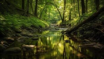 A tranquil scene of a forest with flowing water generated by AI photo