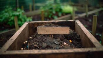 Fresh organic seedling growth on dirty farm dirt outdoors generated by AI photo