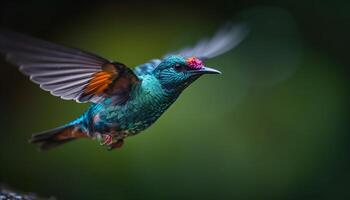 Hummingbird hovering, iridescent feathers, multi colored, pollinating vibrant flowers generated by AI photo