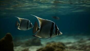 School of fish swimming in multi colored coral reef landscape generated by AI photo