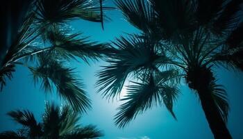 silueta de palma árbol en contra azul atardecer, tropical vacaciones fondo generado por ai foto