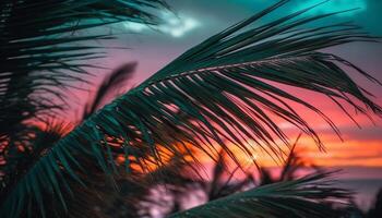 Tropical sunset palm trees, coconut, and nature beauty in motion generated by AI photo
