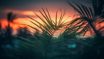 silueta de palma árbol en contra vibrante puesta de sol cielo, tropical paraíso generado por ai foto