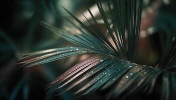 Shiny evergreen needle drop on wet palm tree in tropical forest generated by AI photo