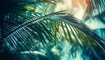 Tropical palm tree forest, green leaves, blue sky backdrop, serene generated by AI photo