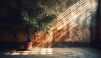 Sunlight filters through window, casting shadow on old plant generated by AI photo