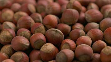 looped spinning hazelnuts with the shell close-up full frame background video