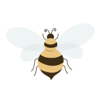 abelha de mel bonito png