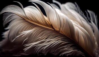 Feather fragility showcases animal elegance in nature , photo