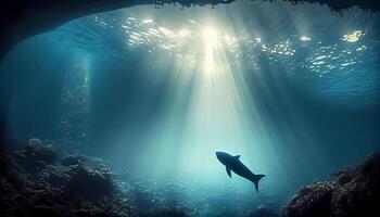Underwater adventure, blue seascape, one dolphin silhouette , photo