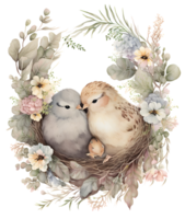 cute chicken couple watercolor, png