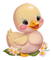 baby duck isolated, png