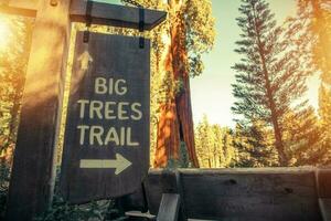 Big Trees Trail Sign photo