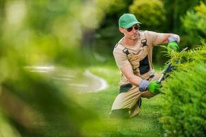 Garden Worker Trimming Decorative Garden Plants photo