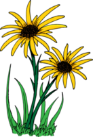 illustration of two sunflowers in the garden png