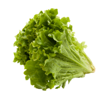 Green lettuce with beautiful juicy greens with no background. PNG. High quality photo. png