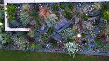 Illuminated Backyard Rockery Garden video