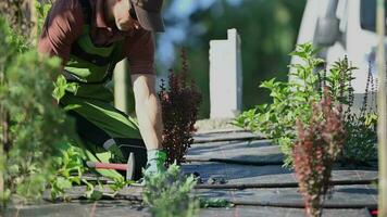 Landscaper Installing Drip Irrigation System in a Newly Developed Garden video