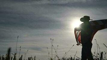 americano granjero ondulación nosotros nacional bandera en lento movimiento video