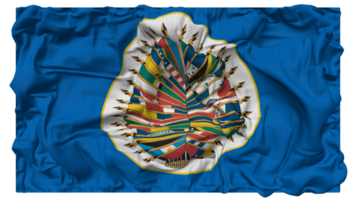 organización de americano estados, oea bandera olas con realista bache textura, bandera fondo, 3d representación png