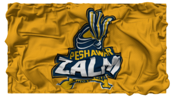 Peshawar zalmi, pz bandeira ondas com realista colisão textura, bandeira fundo, 3d Renderização png