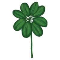 tropisk blommig klämma konst element transparent bakgrund png