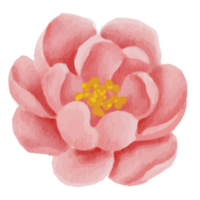 blomma klämma konst element transparent bakgrund png