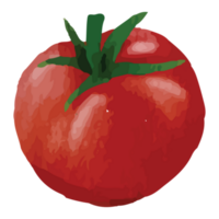 Tomato Clip art Element Transparent Background png