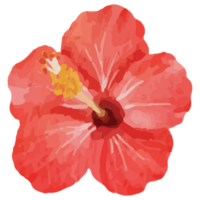 tropisch bloem klem kunst element transparant achtergrond png