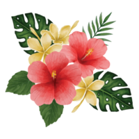 botanisch hibiscus bloem, bloemen boeket klem kunst element transparant achtergrond png
