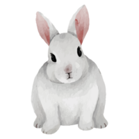 Cute Rabbit Clip art Element Transparent Background png