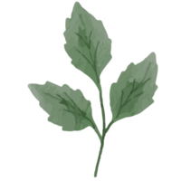 flor hoja acortar Arte elemento transparente antecedentes png