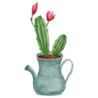 Cactus In Pot Clip art Element Transparent Background png