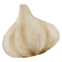 Knoblauch Clip Kunst Element transparent Hintergrund png