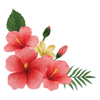 botanisk hibiskus blomma, blommig bukett klämma konst element transparent bakgrund png