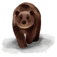 Bär Winter Tier Polar- Tier Clip Kunst Element transparent Hintergrund png